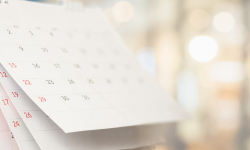 Праздничные дни - Общественные организации